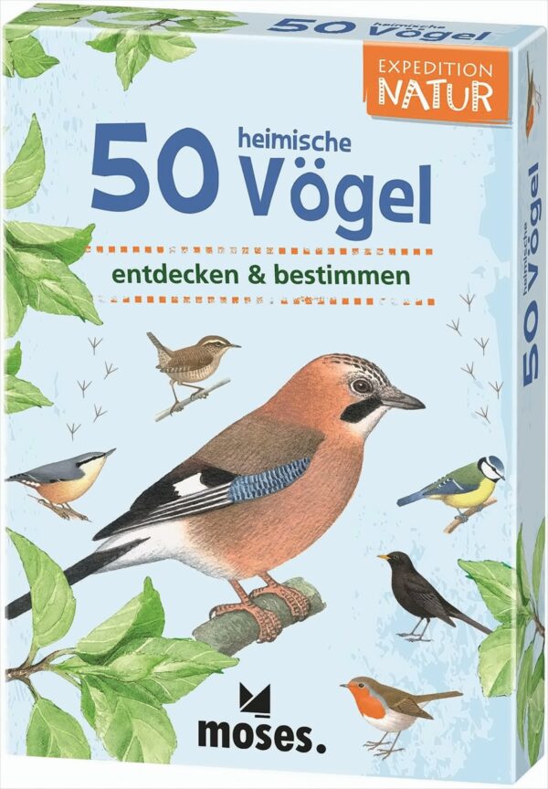 Expedition Natur: 50 heimische Vögel