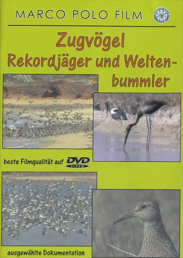 Zugvögel-Rekordjäger und Weltenbummler