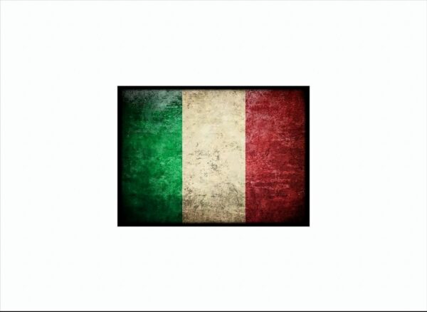 MAX Flag Protectors - Italy Flag (50 ct.)