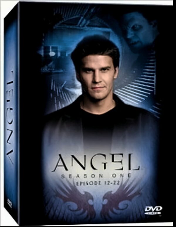 Angel - Jäger der Finsternis: Season 1.2 Collection