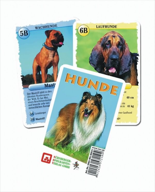 Quartett Hunde