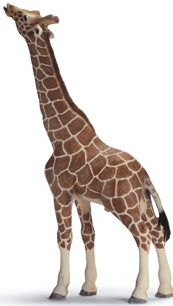 Schleich - World of Nature - Wild Life - Giraffenbulle, fressend