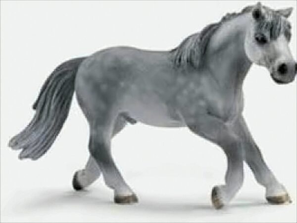 Schleich - Reitpony