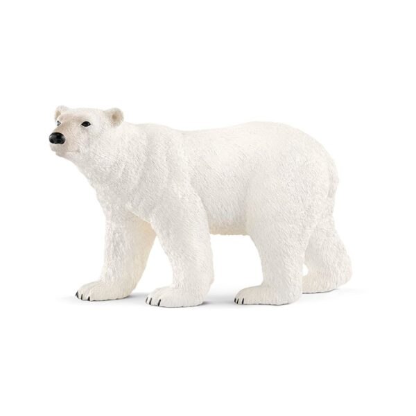 SCHLEICH - Wild Life, Eisbär (5 ct.)