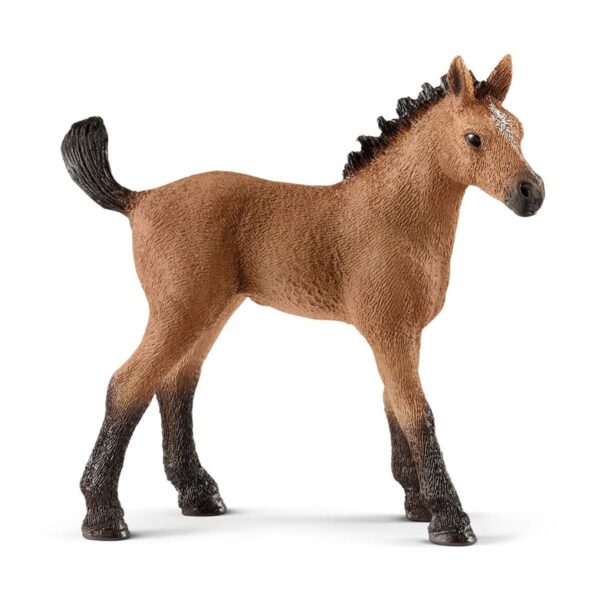 SCHLEICH - Horse Club, Quarter Horse Fohlen (5 ct)