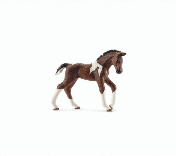 Schleich - 13758- Trakehner Fohlen