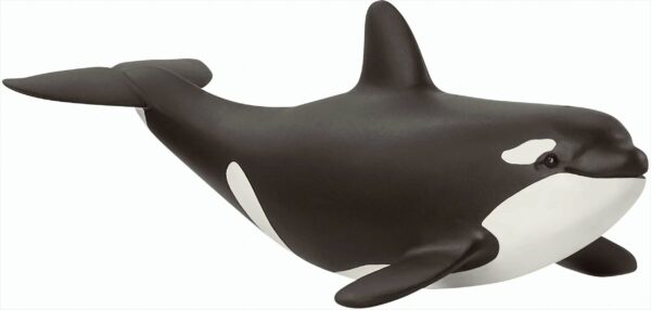 Schleich 14836 Orka Junges