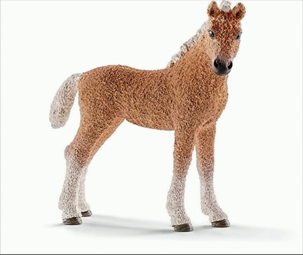 Schleich 13781 - Bashkir Curly Fohlen