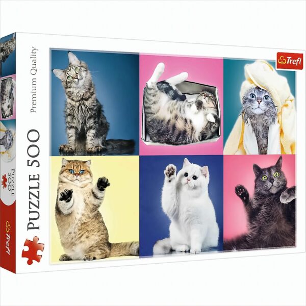 Premium Puzzle 500 Teile - Katzen