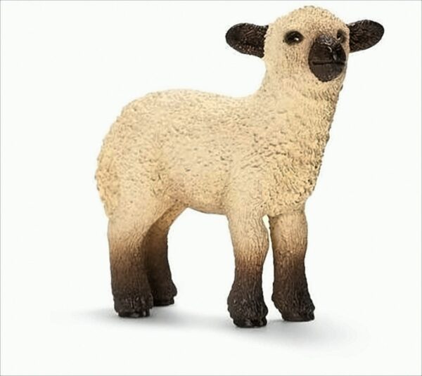 Schleich 13682 Shropshire Schäfchen