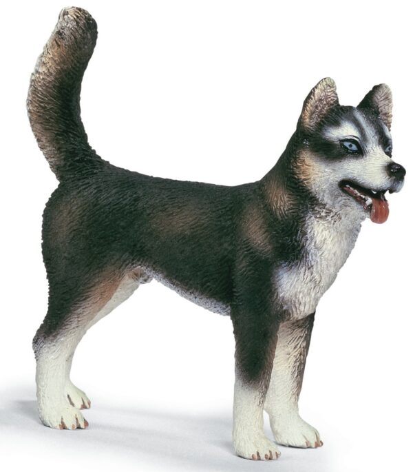 Schleich - 16371 - Husky Rüde