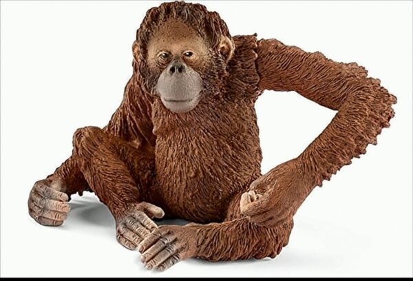 Schleich 14775 - Orang-Utan Weibchen