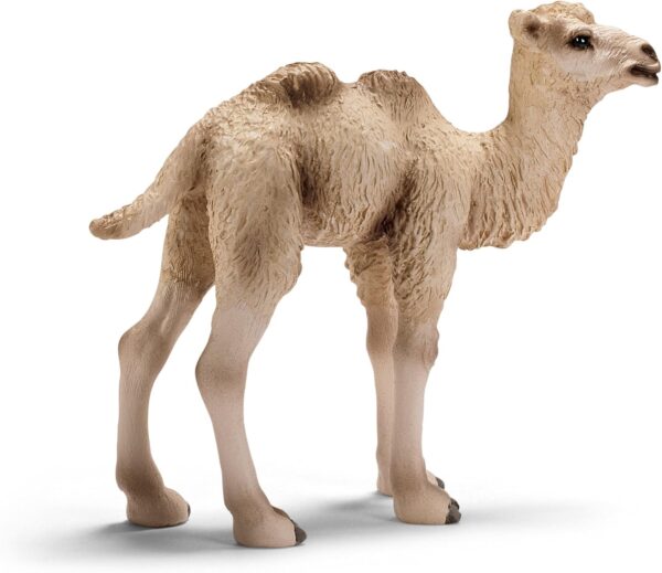 Schleich 14602 Trampeltier Fohlen