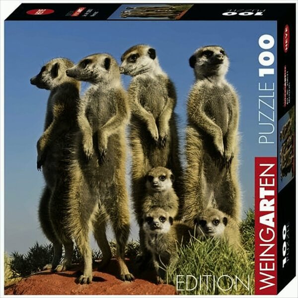 Meerkats Puzzle: 100 Teile