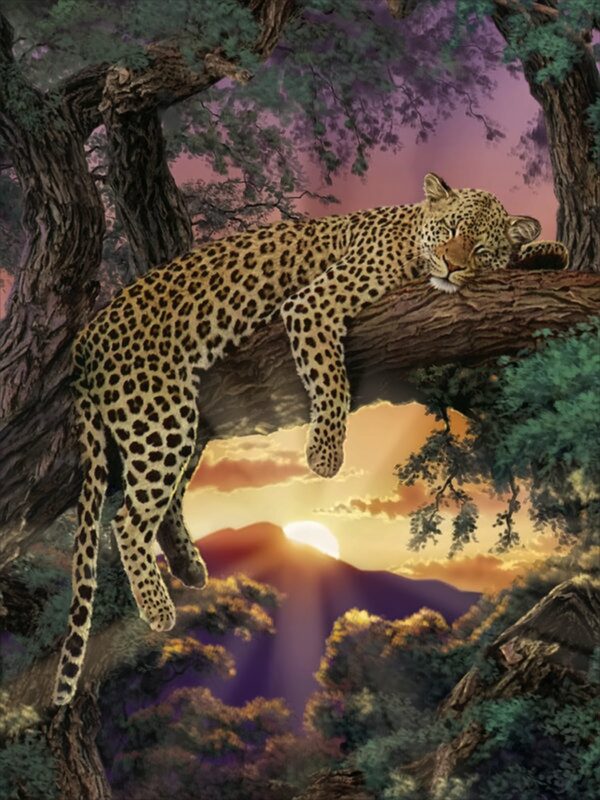 Leopard, 200 Teile Puzzle