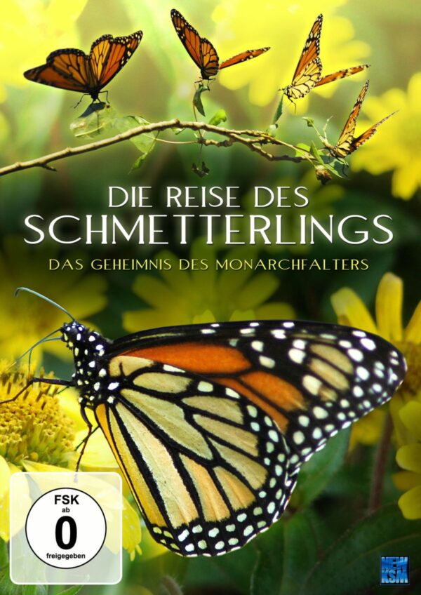 Die Reise des Schmetterlings