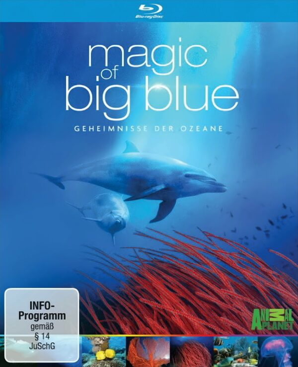 Magic of Big Blue - Geheimnisse der Ozeane (3 Discs)