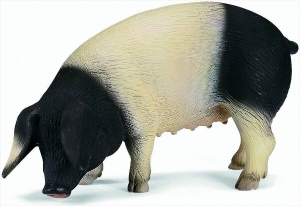 SCHLEICH 13612 Schwäb.-Hällisches Schwein