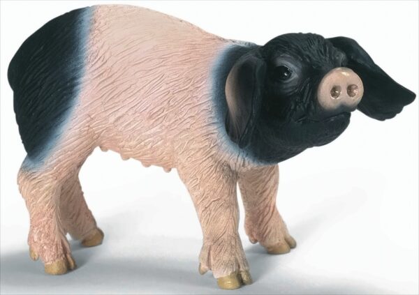 Schleich 13636 Schwäbisch-Hällisches Ferkel