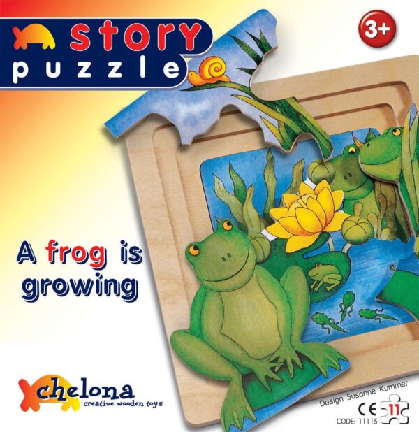 Story Puzzle Ein Frosch wächst heran