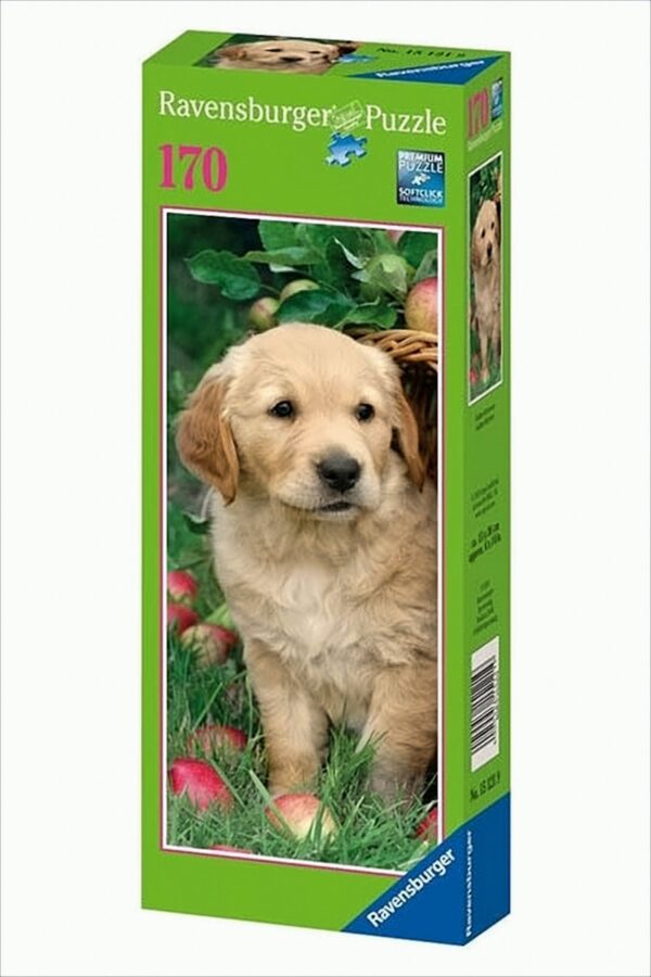 Golden Retriever, 170 Teile