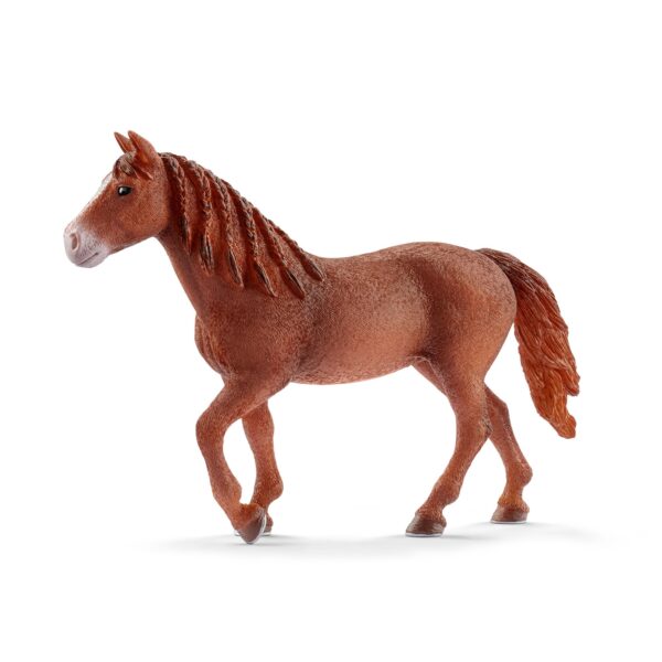 Schleich 13870 Morgan Horse Stute