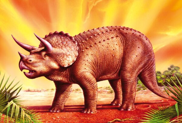 Dinosaurier, Triceratops, 100 Teile Puzzle