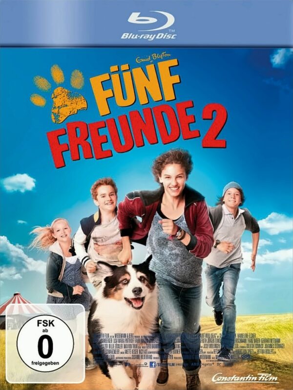 Fünf Freunde 2