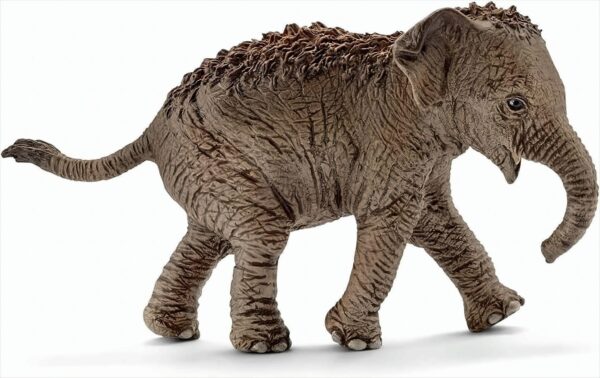 SCHLEICH 14655 - Asiatisches Elefantenbaby