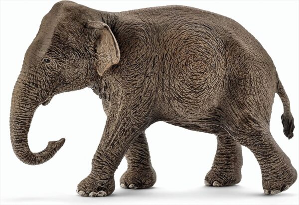 Schleich 14753 - Asiatische Elefantenkuh