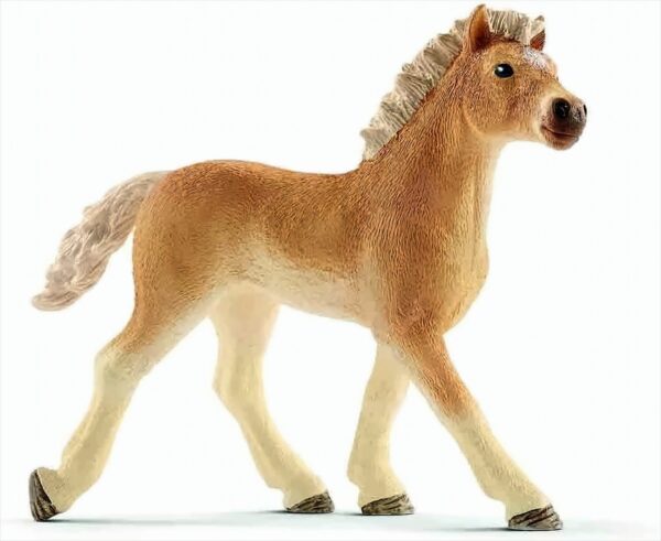 Schleich 13814 - Haflinger Fohlen