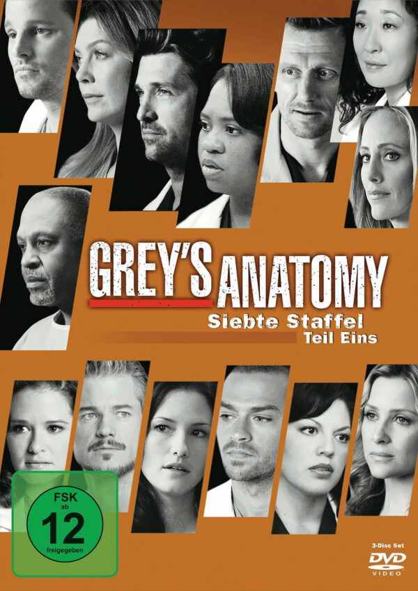 Grey's Anatomy: Die jungen Ärzte - Siebte Staffel, Teil Eins (3 Discs)