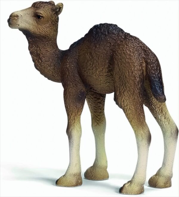 Schleich 14356 Dromedar Fohlen