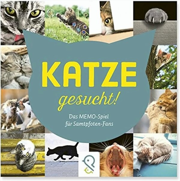 Katze gesucht!