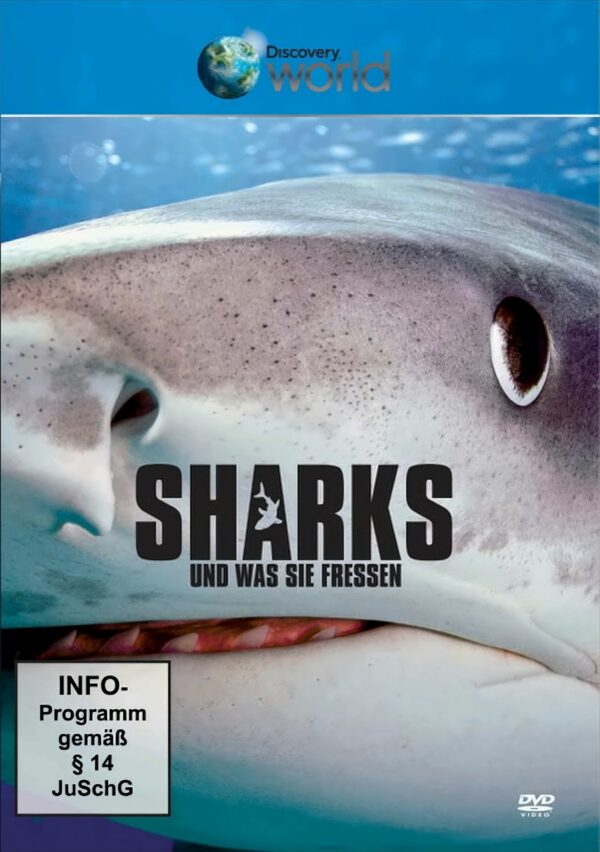 Discovery World - Sharks und was sie fressen