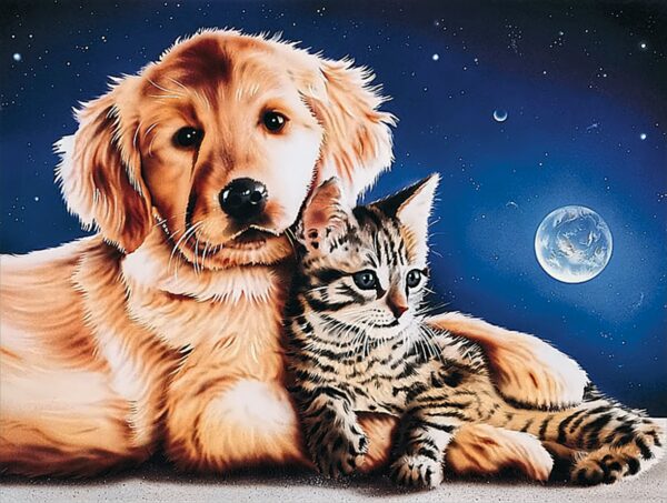 Hund & Katze - Freunde, Starline Puzzle