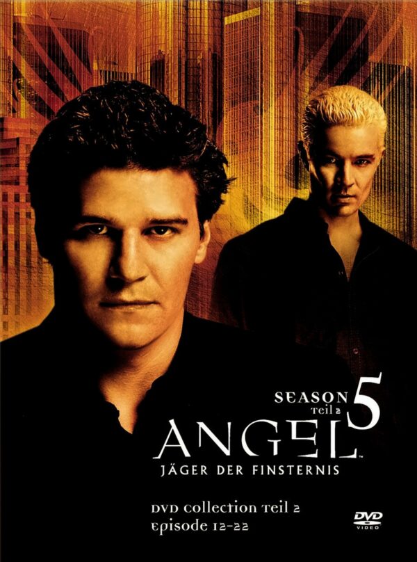 Angel - Jäger der Finsternis: Season 5.2 Collection (3 DVDs)