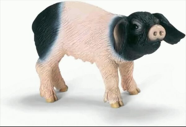 SCHLEICH 13636 Schwäb.-Häll.Ferkel