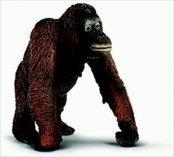 Schleich 14306 - Orang Utan Weibchen