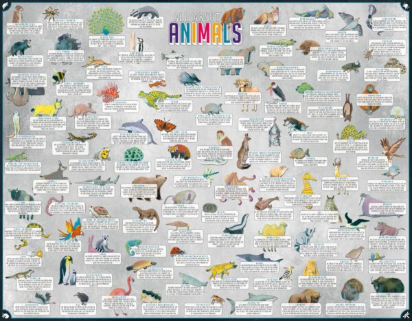 All About Animals